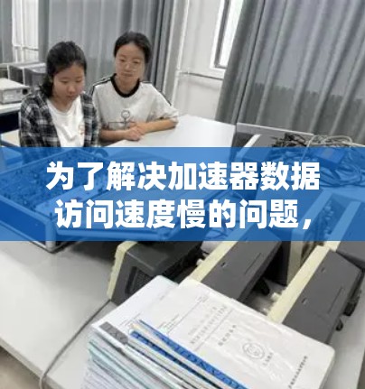 为了解决加速器数据访问速度慢的问题，可以按照以下步骤进行排查和优化