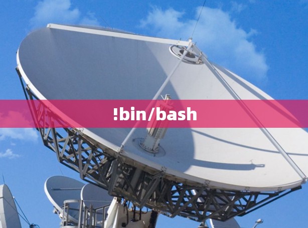 !bin/bash