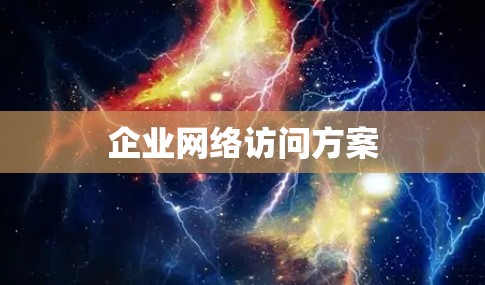 企业网络访问方案