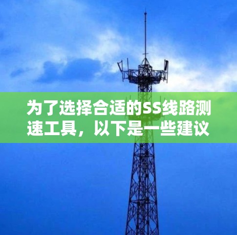 为了选择合适的SS线路测速工具，以下是一些建议和步骤