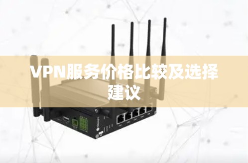 VPN服务价格比较及选择建议