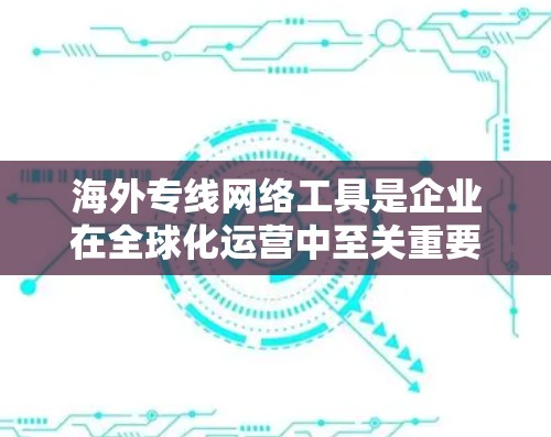 海外专线网络工具是企业在全球化运营中至关重要的资产，帮助企业高效、安全地管理跨国网络。以下是对这些工具的详细分析和建议