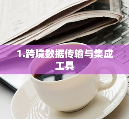 1.跨境数据传输与集成工具